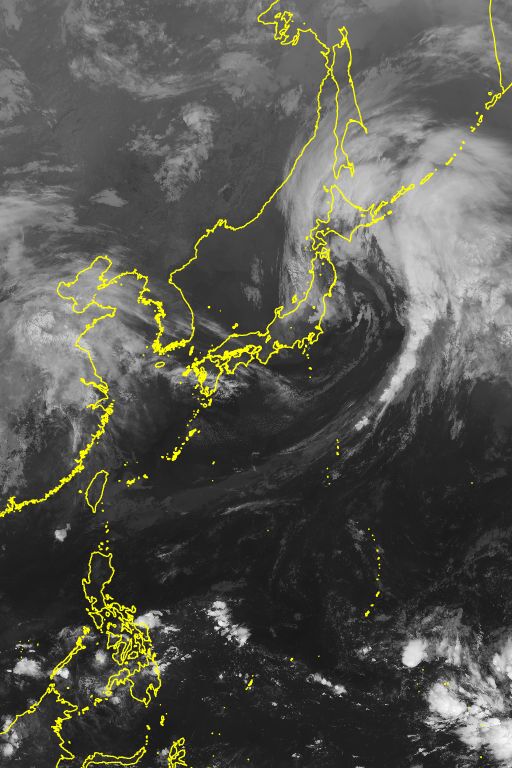 衛星画像