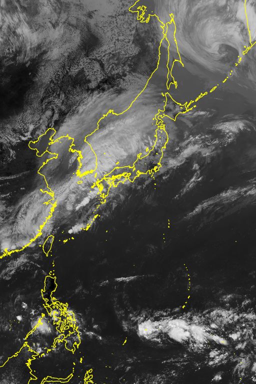 衛星画像