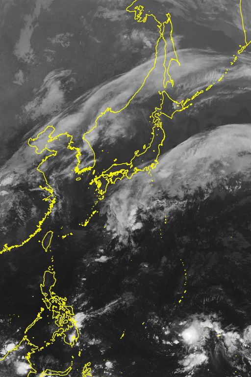 衛星画像