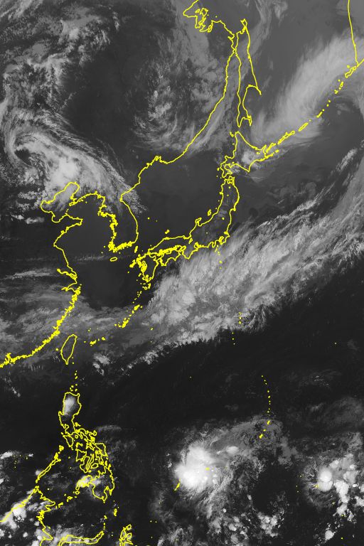 衛星画像