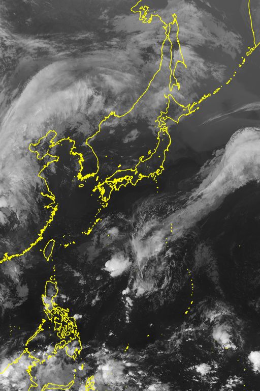 衛星画像