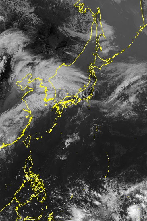 衛星画像