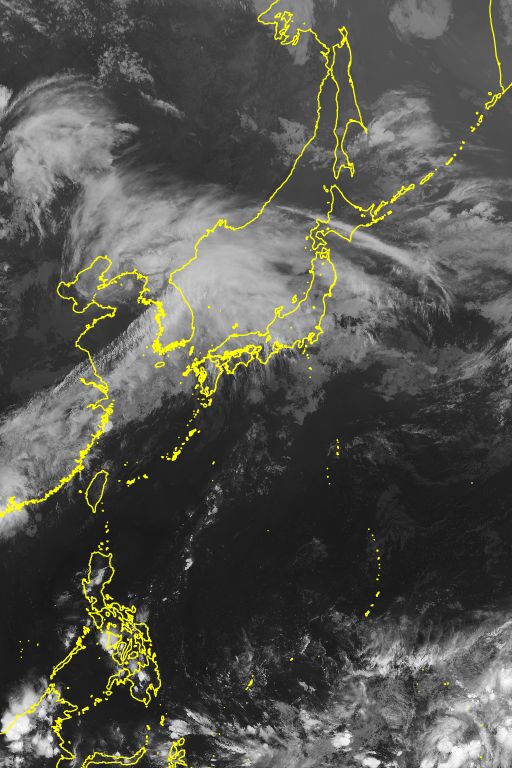 衛星画像