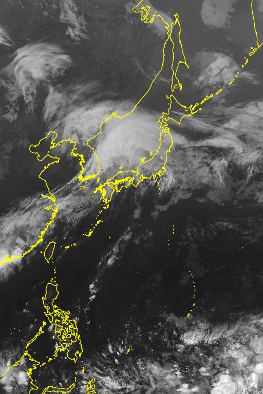 衛星画像