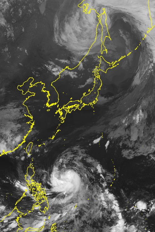 衛星画像