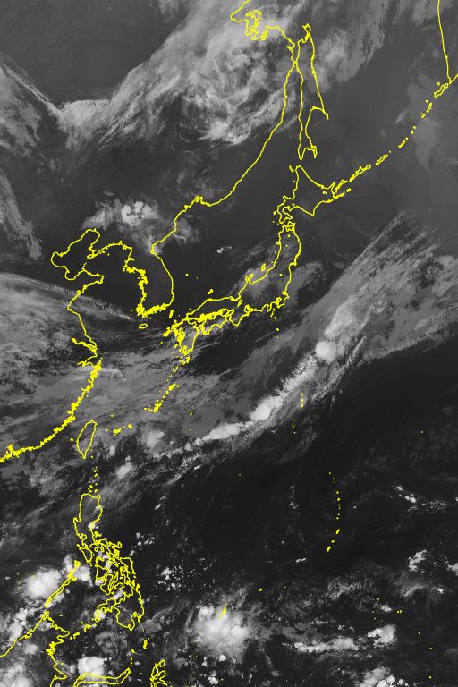 衛星画像