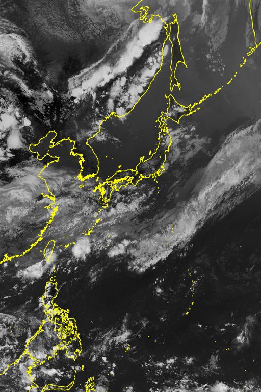 衛星画像