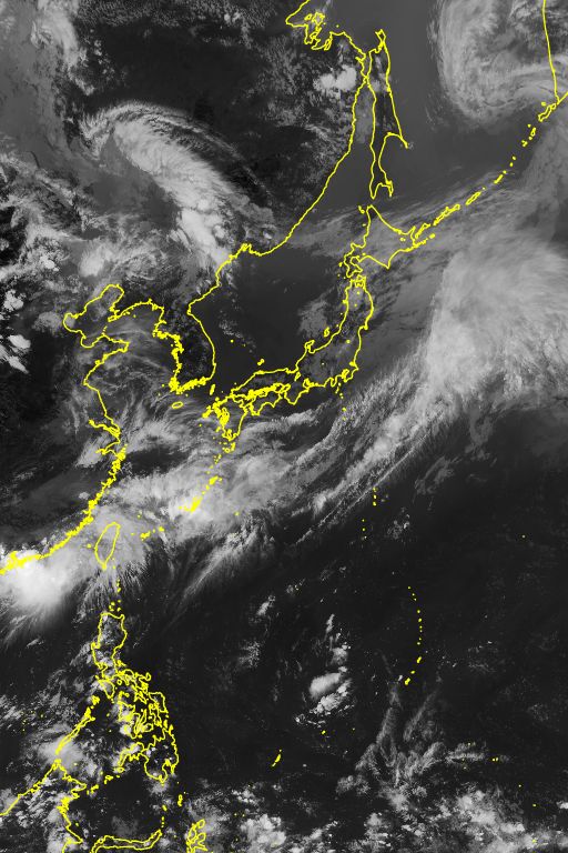衛星画像