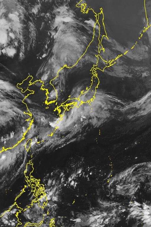 衛星画像