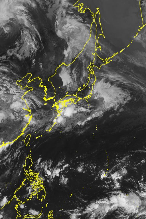 衛星画像