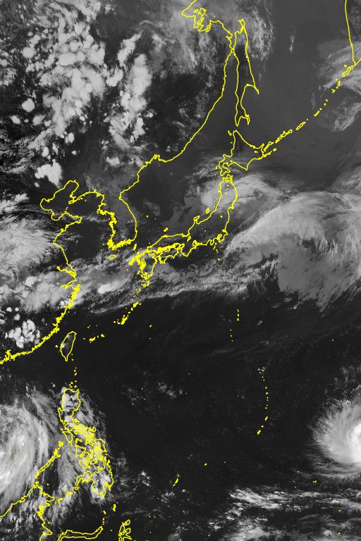 衛星画像