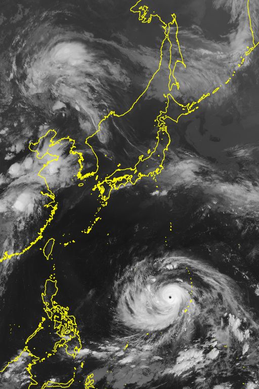 衛星画像