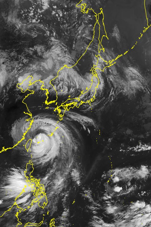 衛星画像