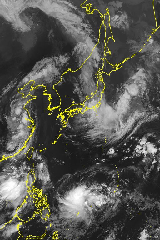 衛星画像