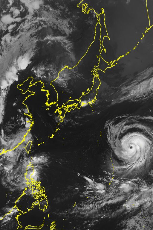 衛星画像