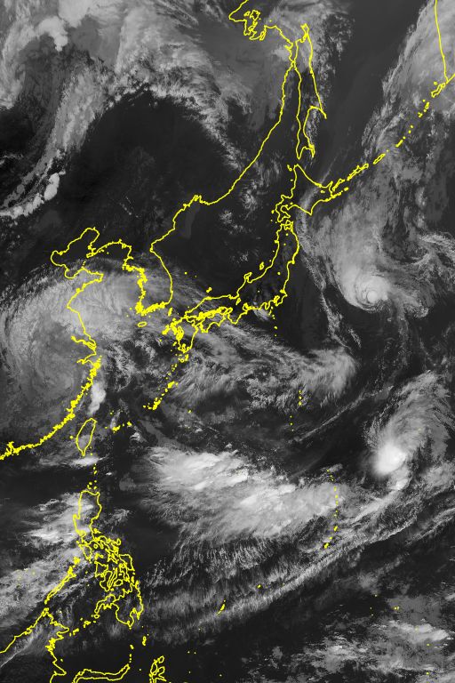 衛星画像