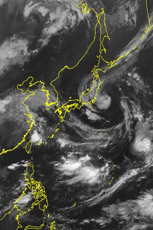 衛星画像