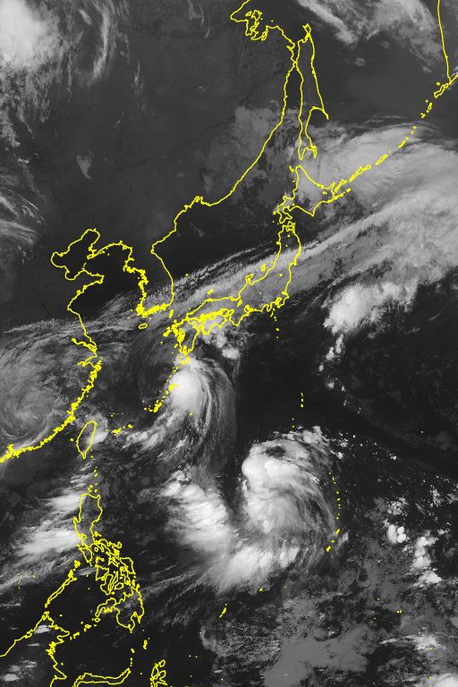 衛星画像