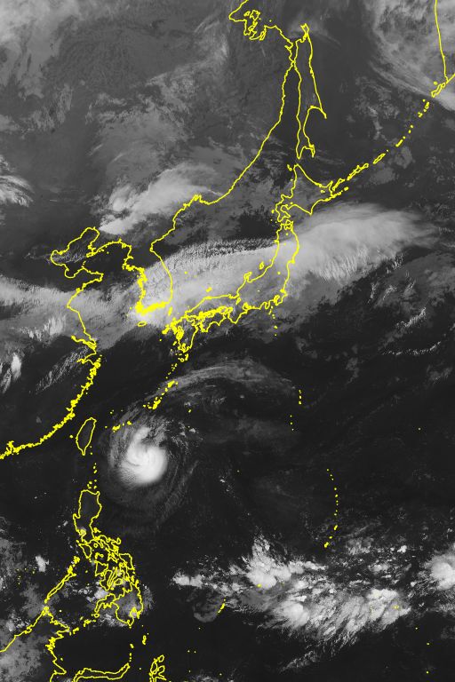 衛星画像