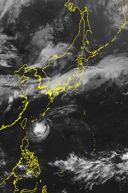 衛星画像