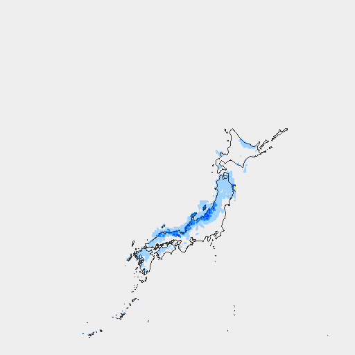 雨量分布